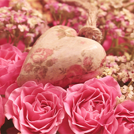 Flowers of Love สาวดอกไม้กับนายก้อนหิน